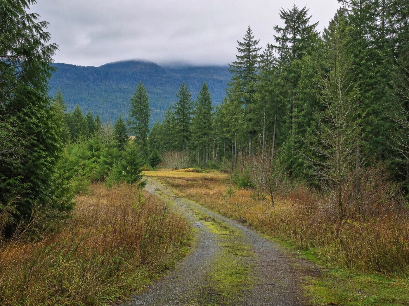 Rural Access Parcels in Longview